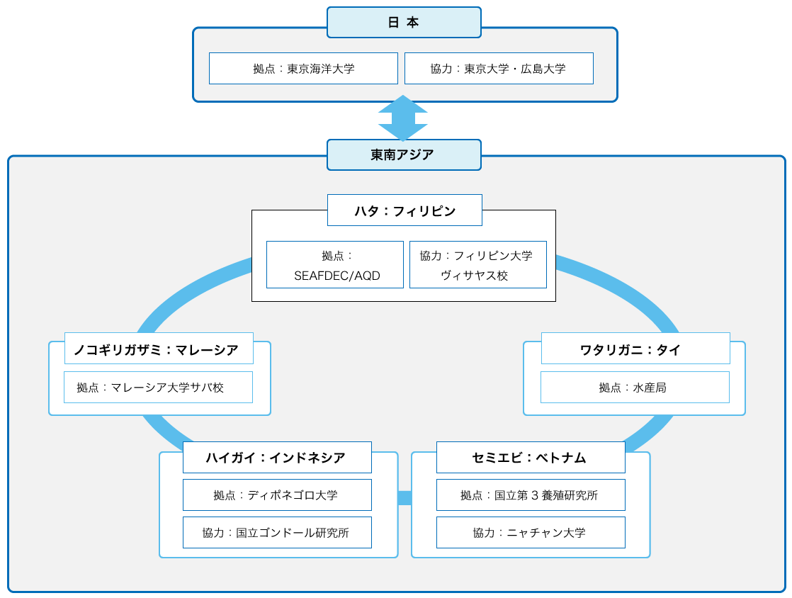 實施體系