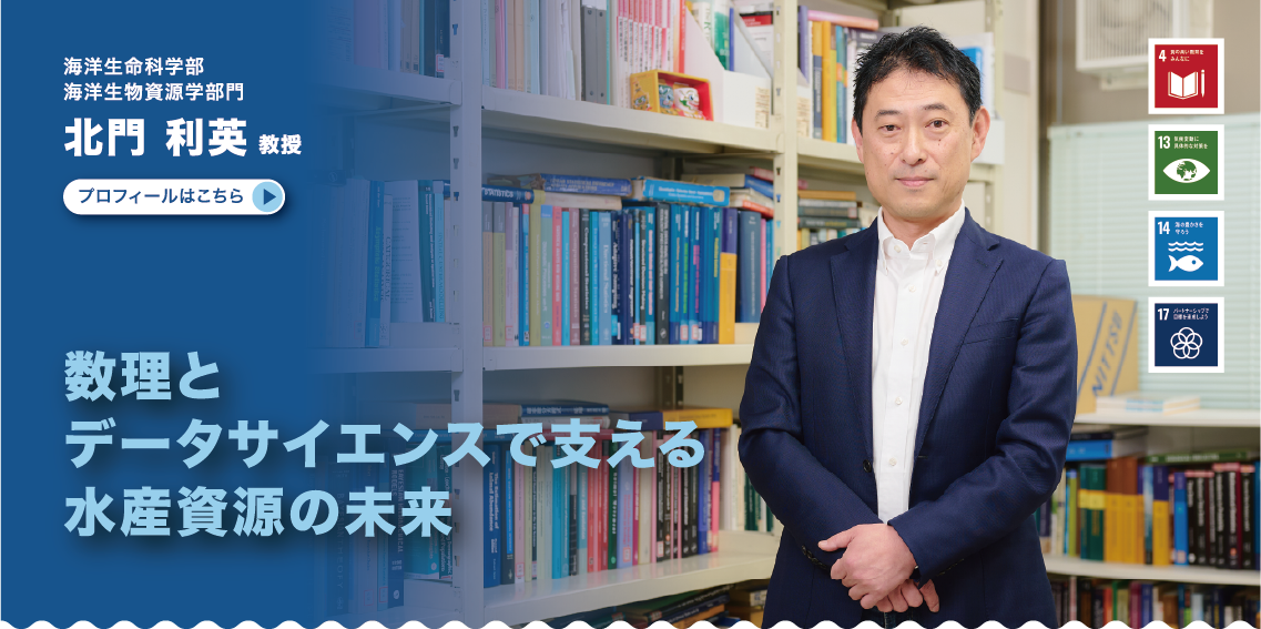 海洋生命科学部　海洋生物資源学部門　北門利英教授　数理とデータサイエンスで支える水産資源の未来