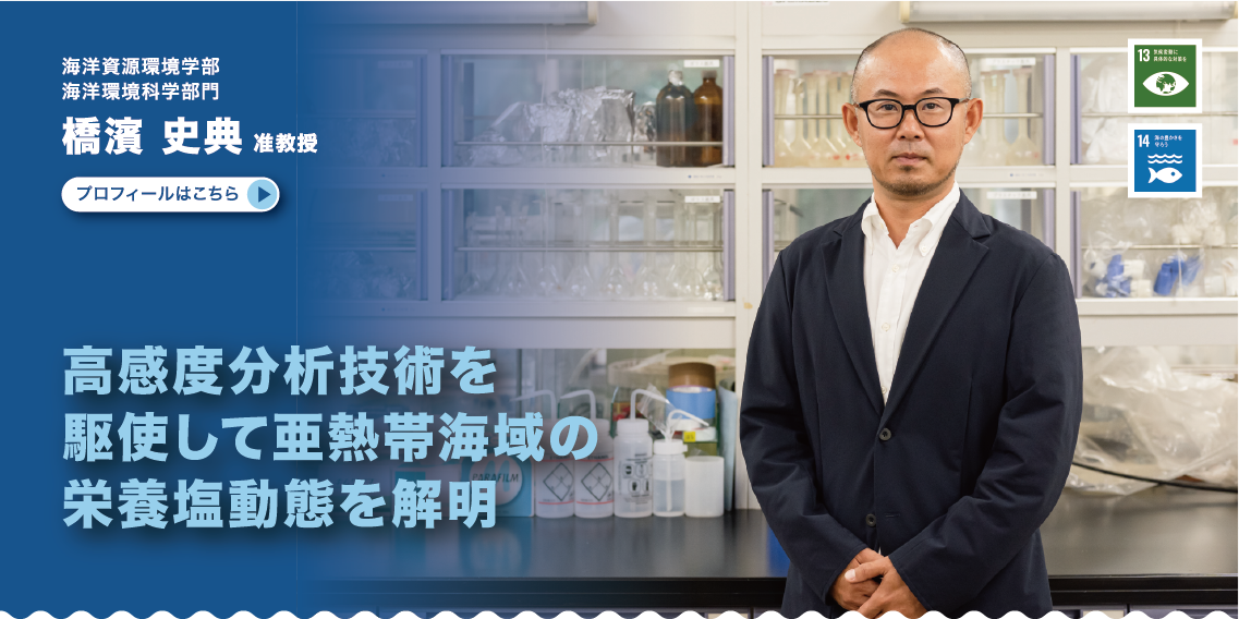 海洋資源環境学部　海洋環境科学部門　橋濱史典准教授　高感度分析技術を駆使して亜熱帯海域の栄養塩動態を解明。