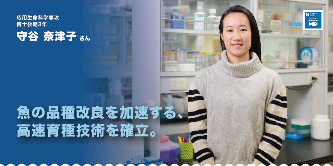応用生命科学専攻　博士後期3年　守谷奈津子さん　魚の品種改良を加速する、高速育種技術を確立。
