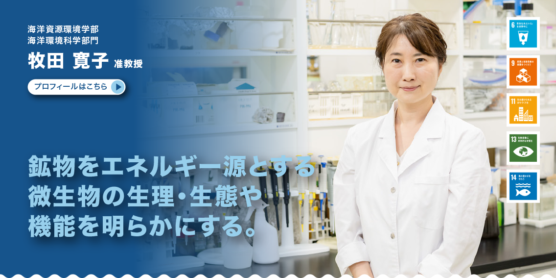 海洋環境科学部門　牧田寛子准教授　鉱物をエネルギー源とする微生物の生理・生態や機能を明らかにする。