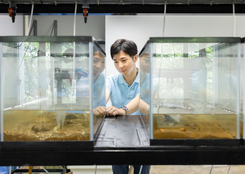 現在の研究テーマ