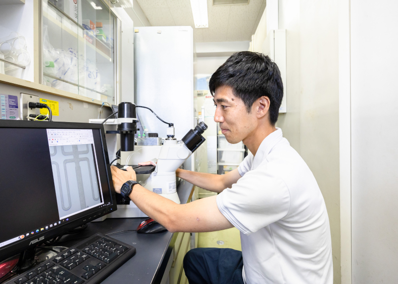 現在の研究テーマ