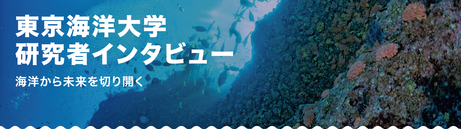 東京海洋大学研究者インタビュー「海洋から未来を切り開く」