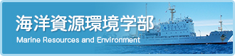 海洋資源環境学部　Marine Resources and Environment