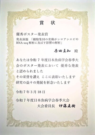 2504080107185402.jpg