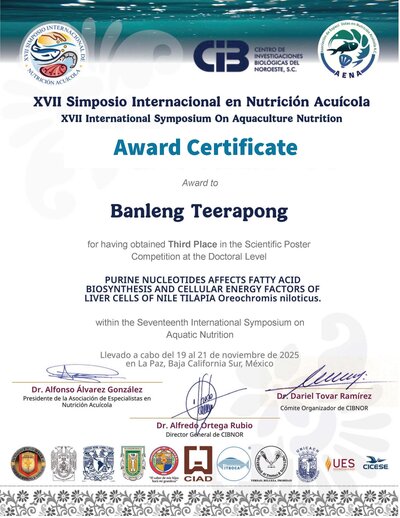 3rd place SINA XVII.pdf.jpg