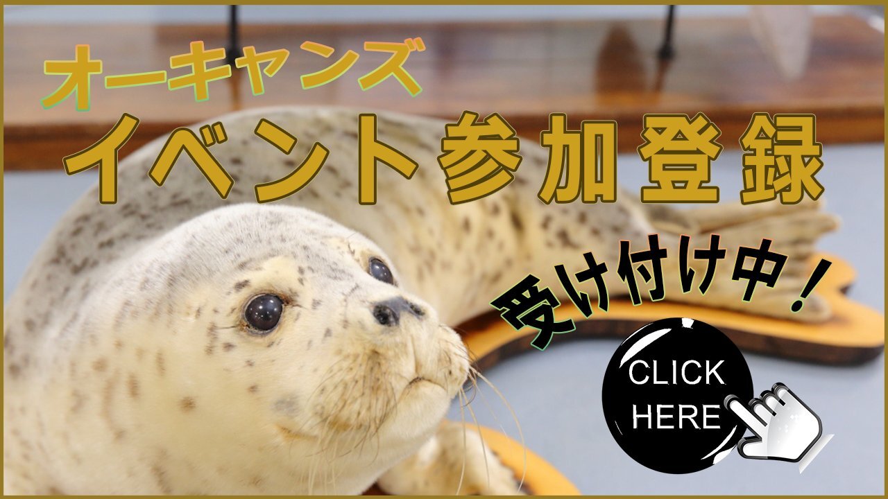 参加登録バナー秋.jpg