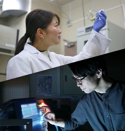 東京海洋大学キャンパス写真