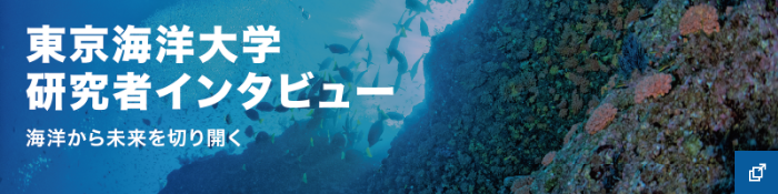 東京海洋大学研究者インタビュー