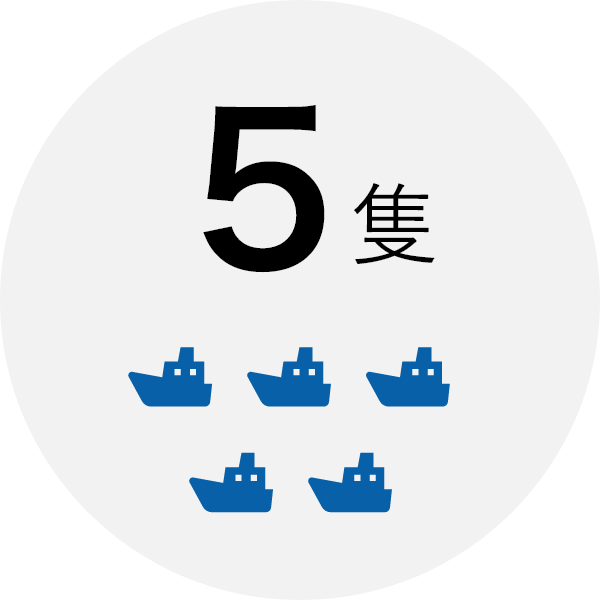 5 vessels