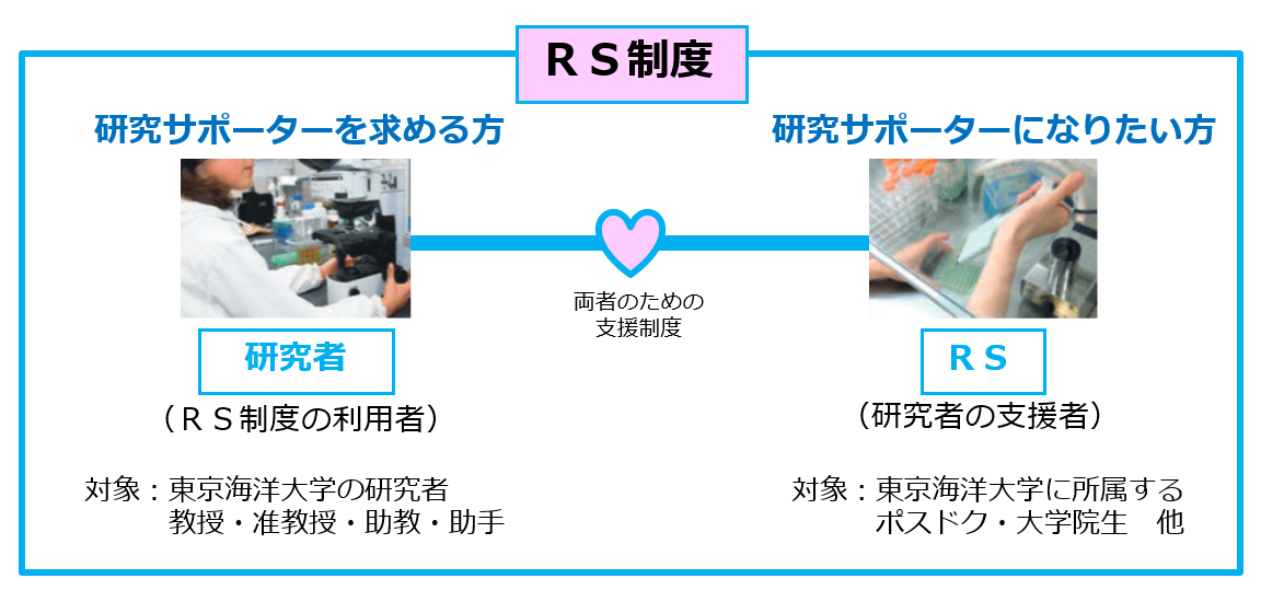 RS制度の図修正版.png