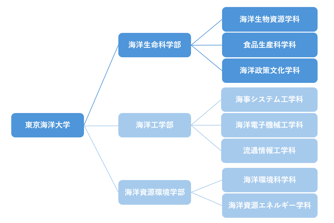 樹形図（生命修正版）.png